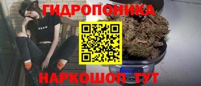 мяу мяу мука Нальчик