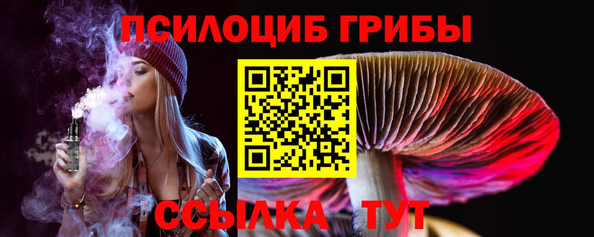 Галлюциногенные грибы GOLDEN TEACHER Тверь